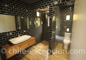 Expérience de charme dans la vallée de l'Elqui, Horcón