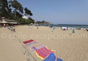 Que voir à Zapallar, Chili