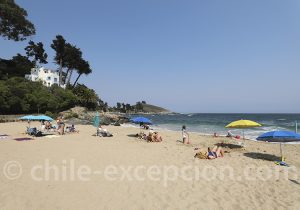 Séjour au Chili, étape à Zapallar