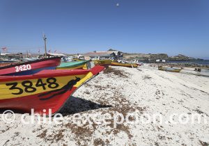Activités proches de La Serena, Chili