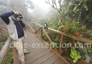 Biosphère du parc Fray Jorge, Ovalle