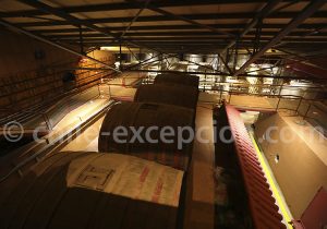 Dégustation de pisco à Vicuña