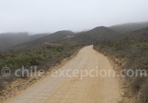 Excurtion au parc Fray Jorge