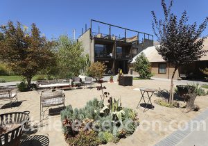 Hôtel Solar Madariaga, Vicuña