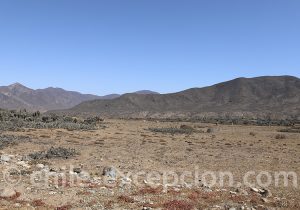 La Serena Punta Choros