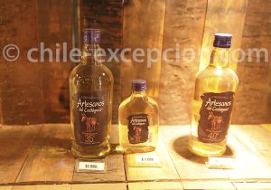Les meilleures distillerie de Vicuña