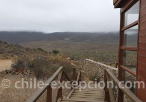 Paysage du parc Fray Jorge, Ovalle