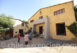 Pisqueria Los Nichos Vicuña