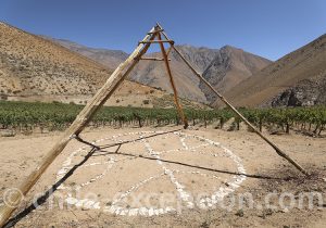 Production de vin dans le nord du Chili