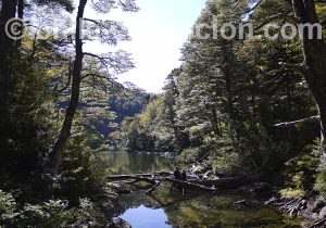 Randonnée proche de Pucón