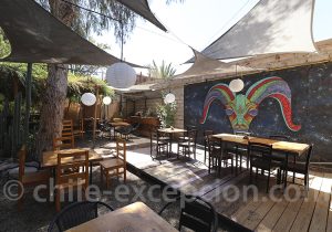 Terrasse, Restaurant Chivato Negro, Vicuña