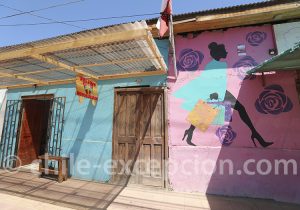 Vallée de Limari activités