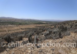 Vallée de Limari paysages