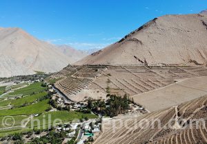 Vallée del Elqui