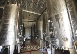 Vallée del Elqui Viña Dalbosco