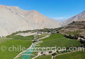 Vallée del Elqui norte chico