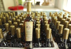 Visite et dégustation pisqueria nord du Chili