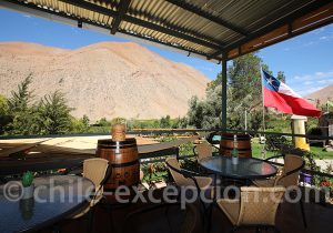 Visite et dégustation pisqueria vallée del Elqui
