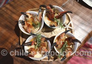 Restauration du désert d'Atacama