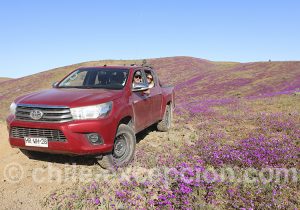 Séjour de luxe Chili