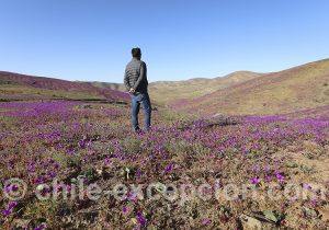 Les plus beaux paysages du Chili