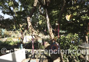 Jardin passage des artisana Santiago