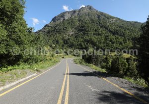 Route forestale du Chili