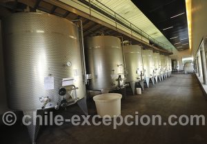 Viña Undurraga, vallée Maipo, Chili