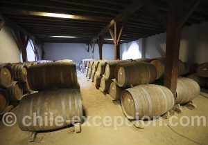 Production de vin au Chili