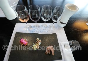 Accords et dégustation de vins à la viña Santa Ema, route des vins du Chili
