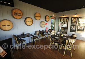 Espace de restauration, visite de la vigne Santa Ema