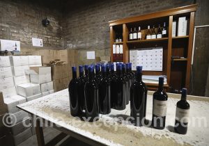 Les meilleurs vins du Chili