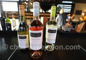 Santa Ema - Rosé & Blanc