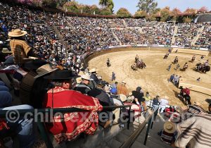 Spectateurs assistant au rodéo