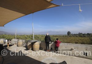 Tour des vignes de Santiago