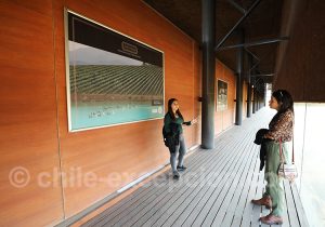 Tour guidé en privé de la vigne Santa Ema, route des vins chiliens