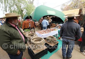 Vente de cordes pour les huasos chiliens
