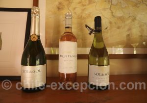 Visite de la viña Aquitania