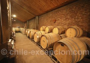 Visite des vignes du Chili