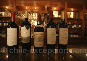 Visite guidée Cousiño Macul