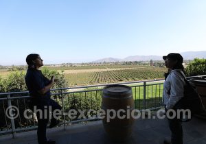 Visite guidée en privé des vignes chiliennes, viña Odfjell, vallée du Maipo