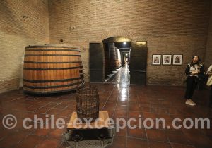 Visite guidée viña Cousiño Macul