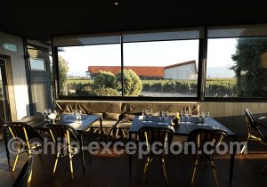 Vue du restaurant, viña Santa Ema, Chili