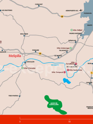 Vignes Maipo & San Antonio