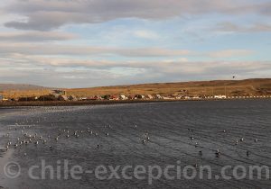 Estrecho de Magallanes à Porvenir