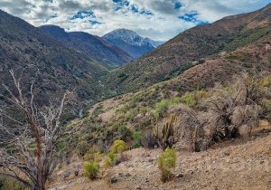 Paysage du Parque Yerba Loca