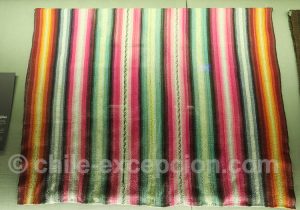 Musée Régional d'Iquique Chussi