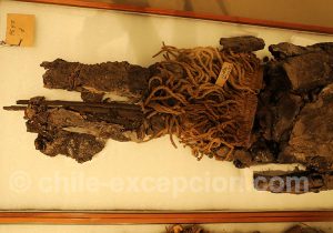 Momies au Musée Régional d'Iquique