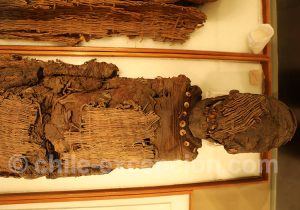Momies au Musée Régional d'Iquique