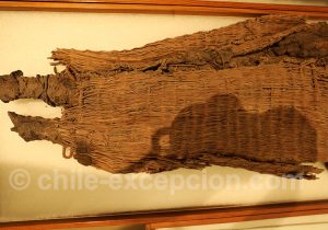 Momies au Musée Régional d'Iquique